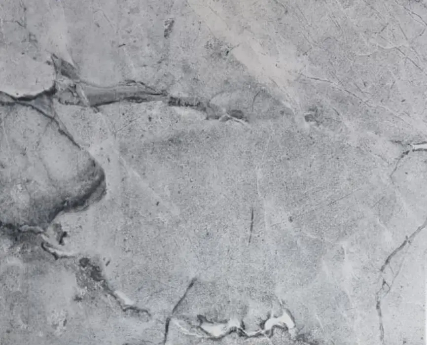 Milan Gray - картинка 1