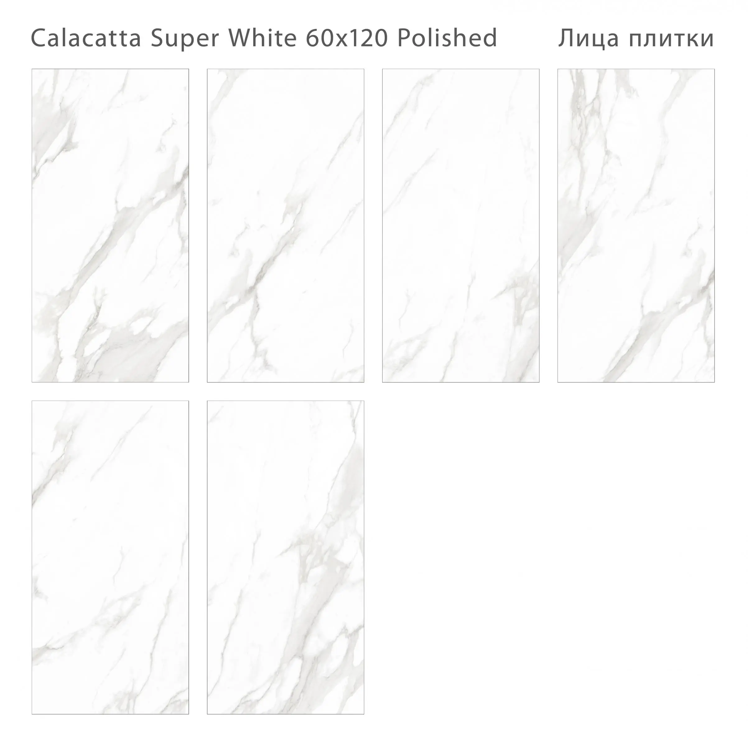 Palacio Calacatta Super White - картинка 1