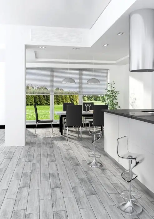 Вяз - картинка 1