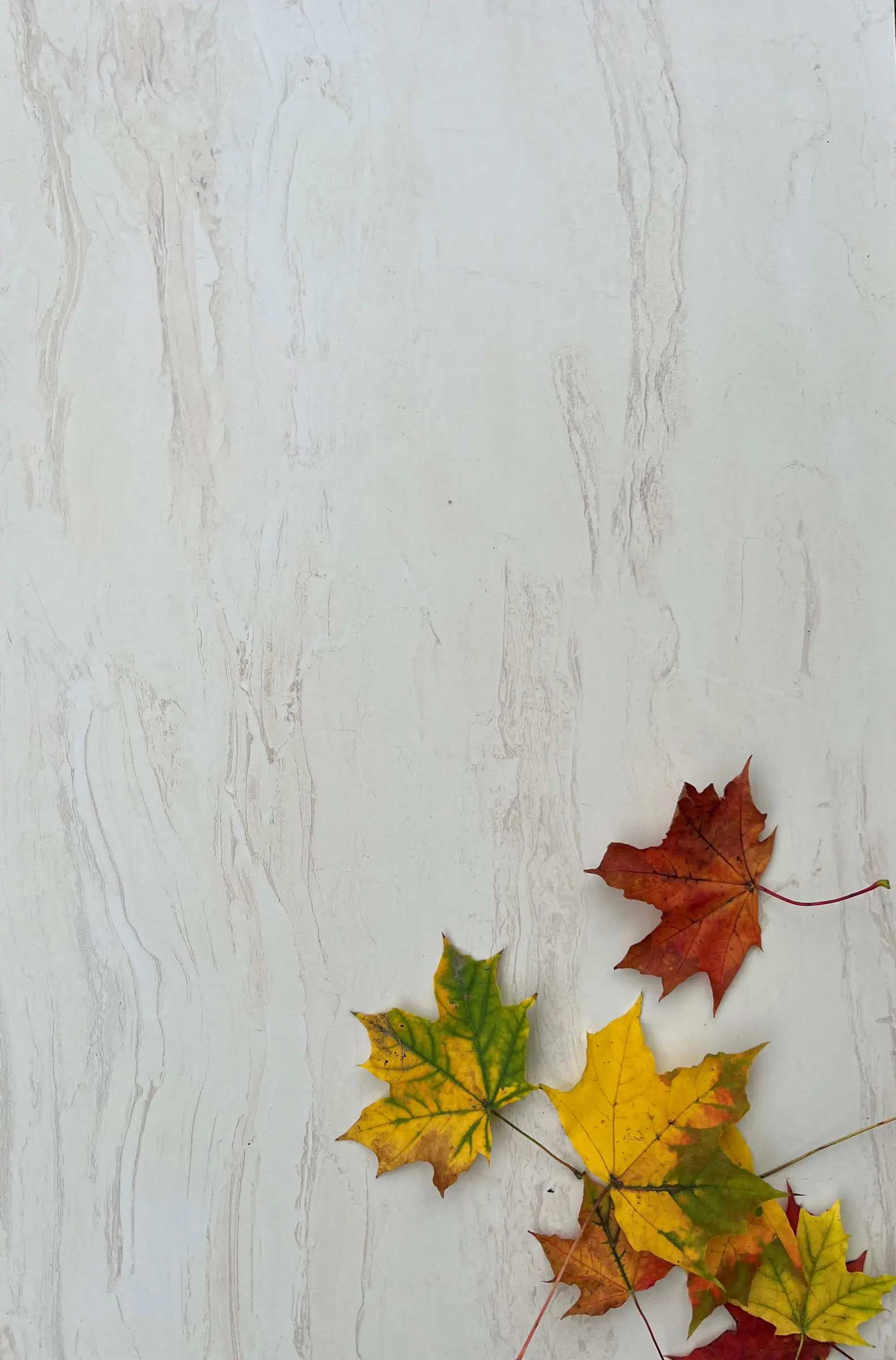 Brizzo - картинка 1